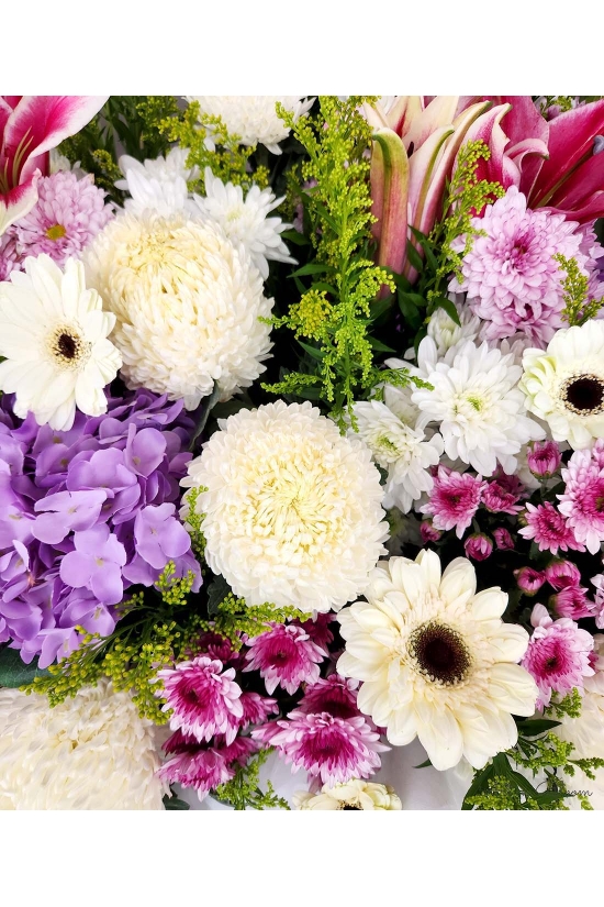 Peaceful Tribute - ASW70001