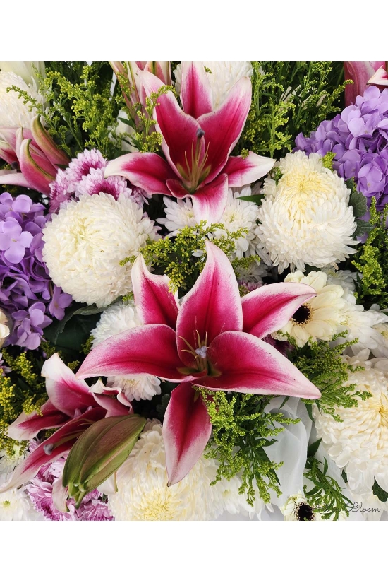 Peaceful Tribute - ASW70001