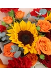 Specially For You - AHB091