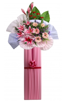Sweet Success - AGO8001