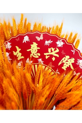 Bumper Sale - 大麦 寓意 “大卖“ - AGO1681