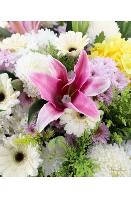 Comfort Condolences - ASW70002
