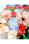 Renewal Delights - AFB014