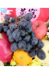 Oriental Vitality - AFB059