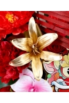 Huat Huat Huat - AGO888 Red