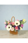 Spring Bloom - ATA011