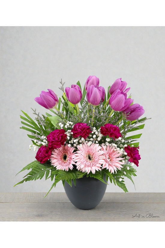 Tulipa Spring - ATA005