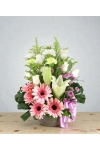 Flora Dream - ATA003