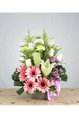 Flora Dream - ATA003