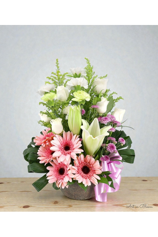 Flora Dream - ATA003