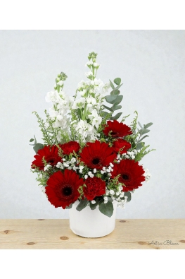 Breeze - ATA034 Red