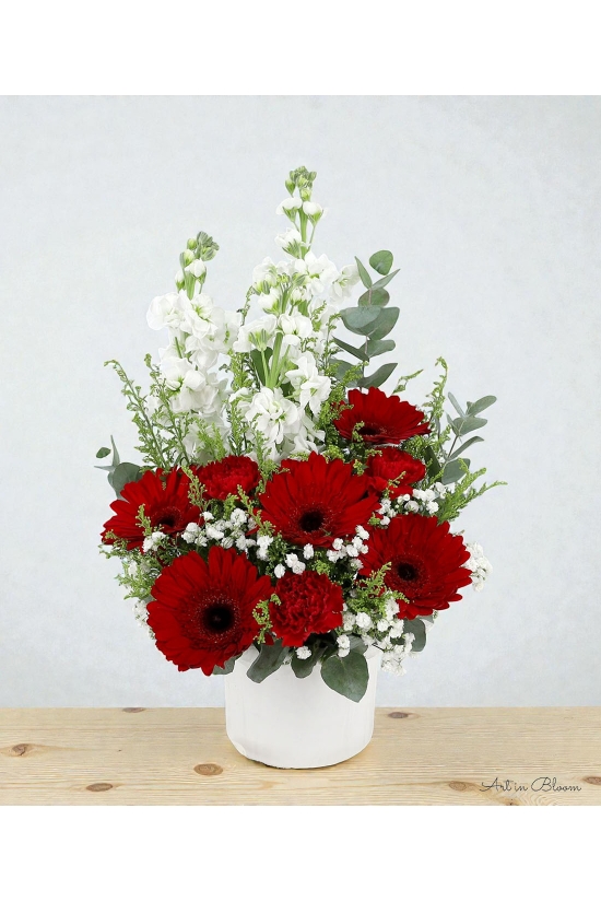 Breeze - ATA034 Red
