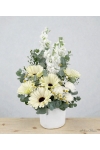 Breeze - ATA034 White