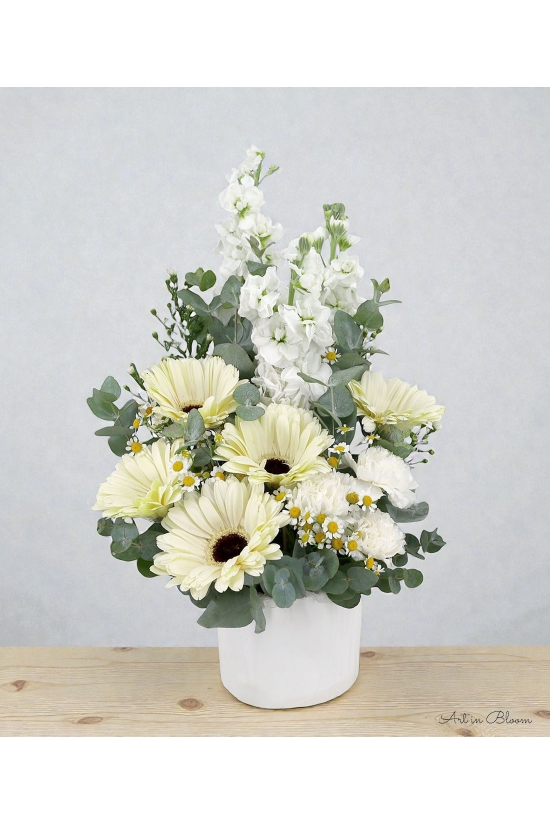 Breeze - ATA034 White
