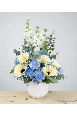 Breeze - ATA034 Blue