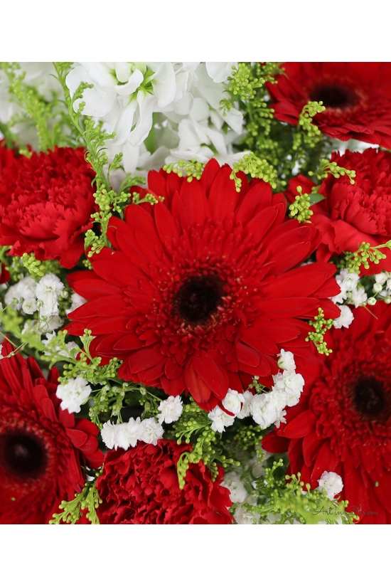 Breeze - ATA034 Red