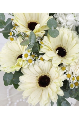 Breeze - ATA034 White