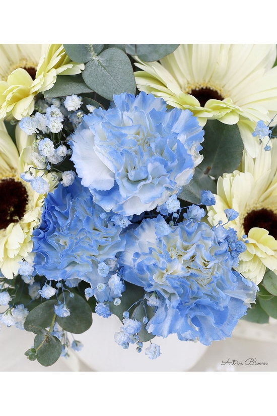 Breeze - ATA034 Blue