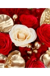Absolu De Rose - ATA035 Red
