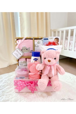 Little Princess Newborn Gift Set - ABG029 PINK
