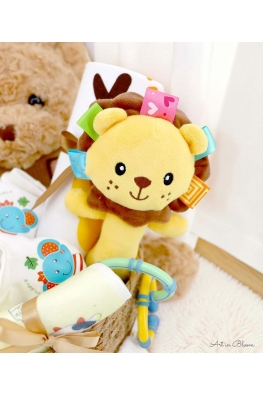 Newborn Celebration Gift Hamper - ABG032