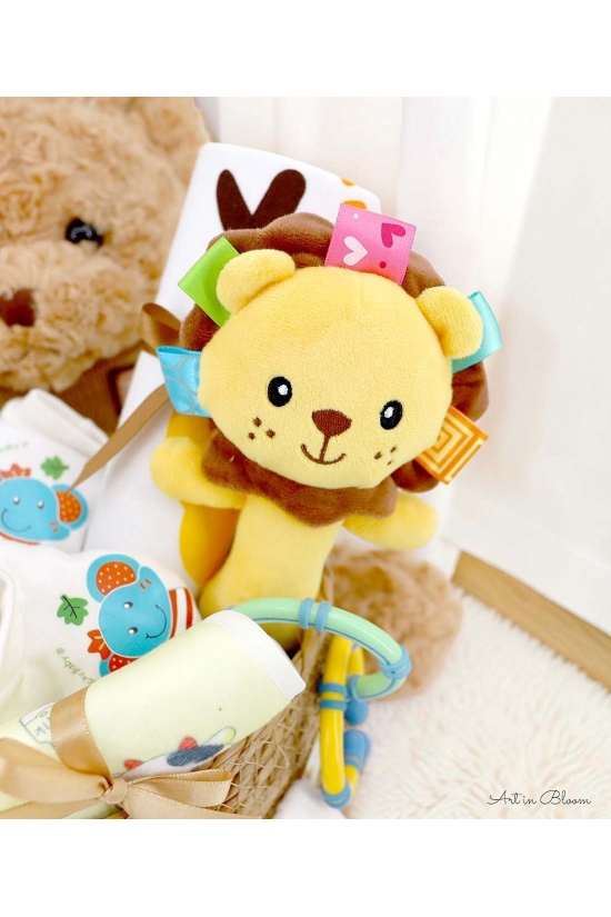Newborn Celebration Gift Hamper - ABG032