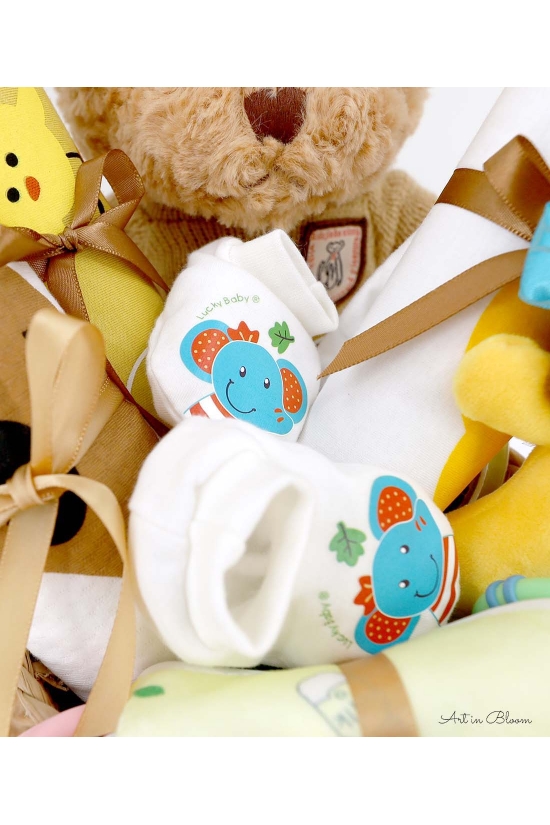 Newborn Celebration Gift Hamper - ABG032