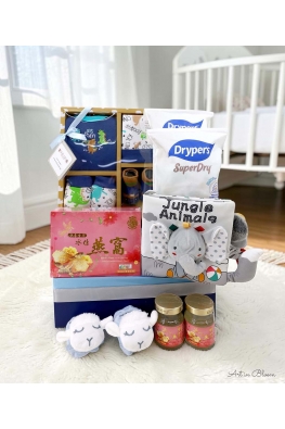 Premium Postpartum Care & Baby Welcome Hamper - ABG033 BLUE