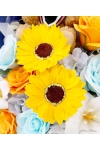 Teddy’s Sunlit Garden - AHB094