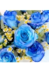 Blue Romance  - AHB036