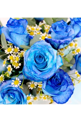 Blue Romance  - AHB036