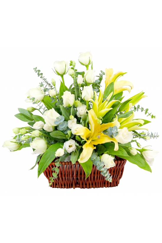 Compassion Condolences - ASW1008