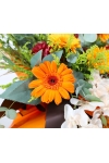 Vibrant Success - AGO1002