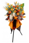 Vibrant Success - AGO1002