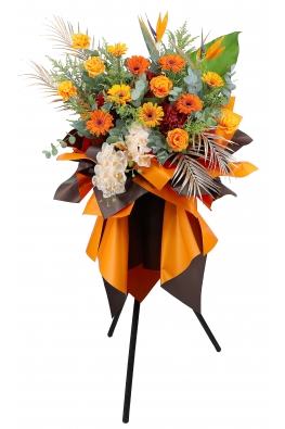 Vibrant Success - AGO1002
