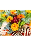 Vibrant Success - AGO1002