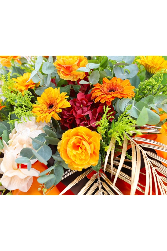 Vibrant Success - AGO1002