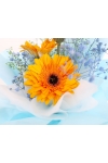 Blooming Grace - AHB038