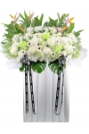 Comforting Tribute - ASW3801