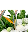 Comforting Tribute - ASW3801
