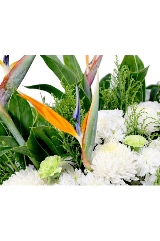 Comforting Tribute - ASW3801