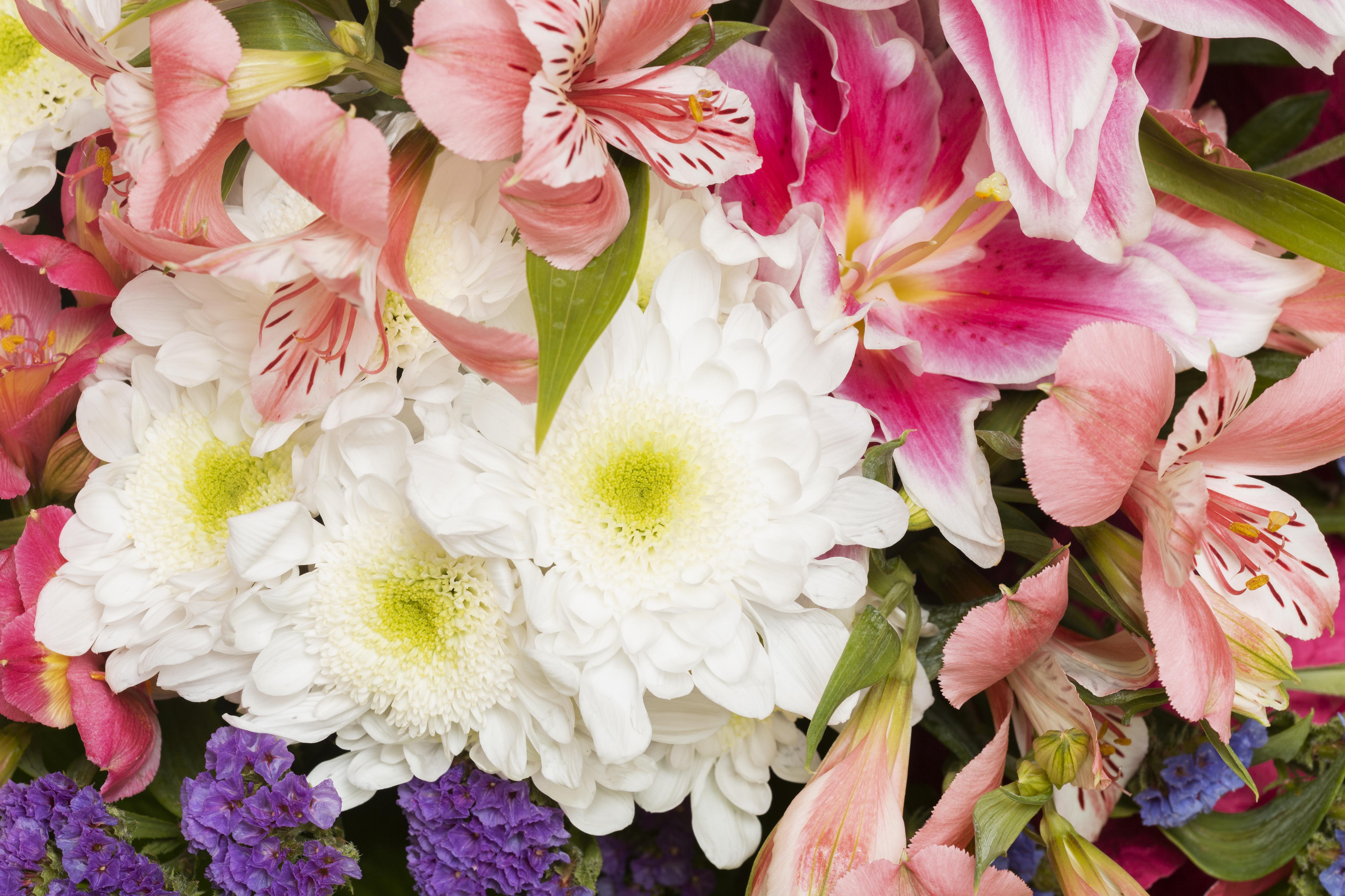 Gorgeous arrangement flowers background